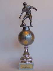 5. TSV Wulfsdorf Cup 2007, 8. Platz